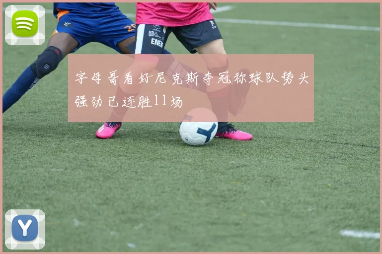 字母哥看好尼克斯夺冠称球队势头强劲已连胜11场