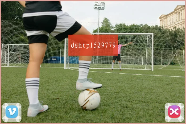 dshtpl529779