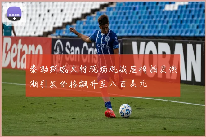 泰勒斯威夫特现场观战座椅拍卖热潮引发价格飙升至八百美元